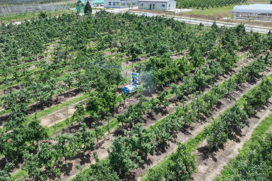 Purigo - Unmanned Orchard Spraying Robot